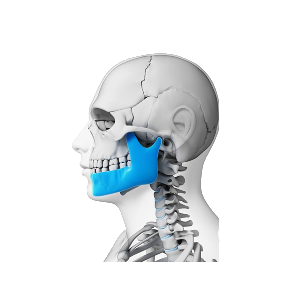 Maxillo Facial Surgery